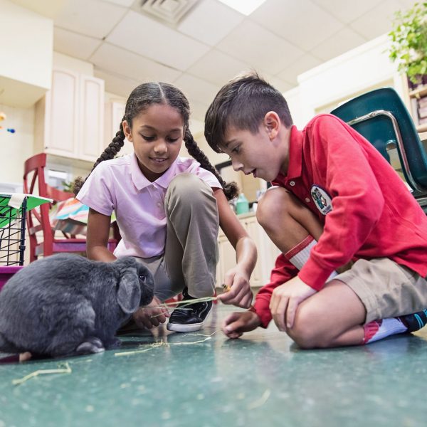 2016-09-28_CB_Montessori-933-copy